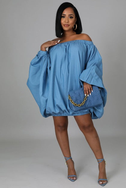 Denim Shirt dress